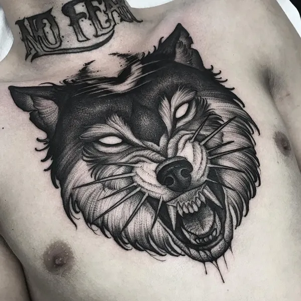 Tiger, Animal