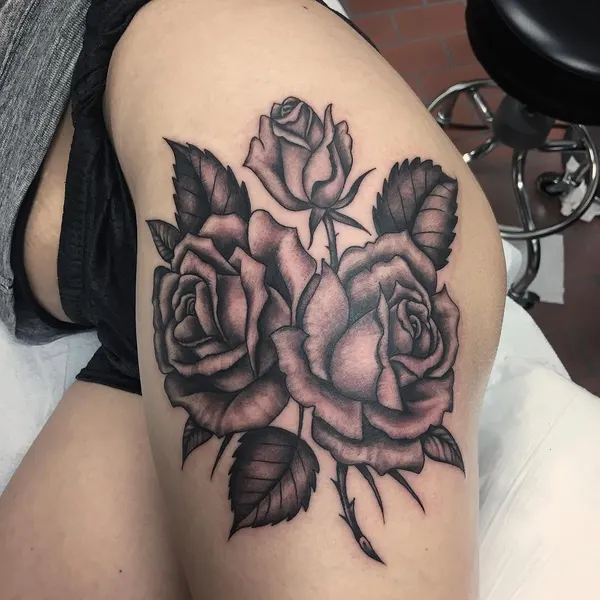 Flower, Rose, Nature