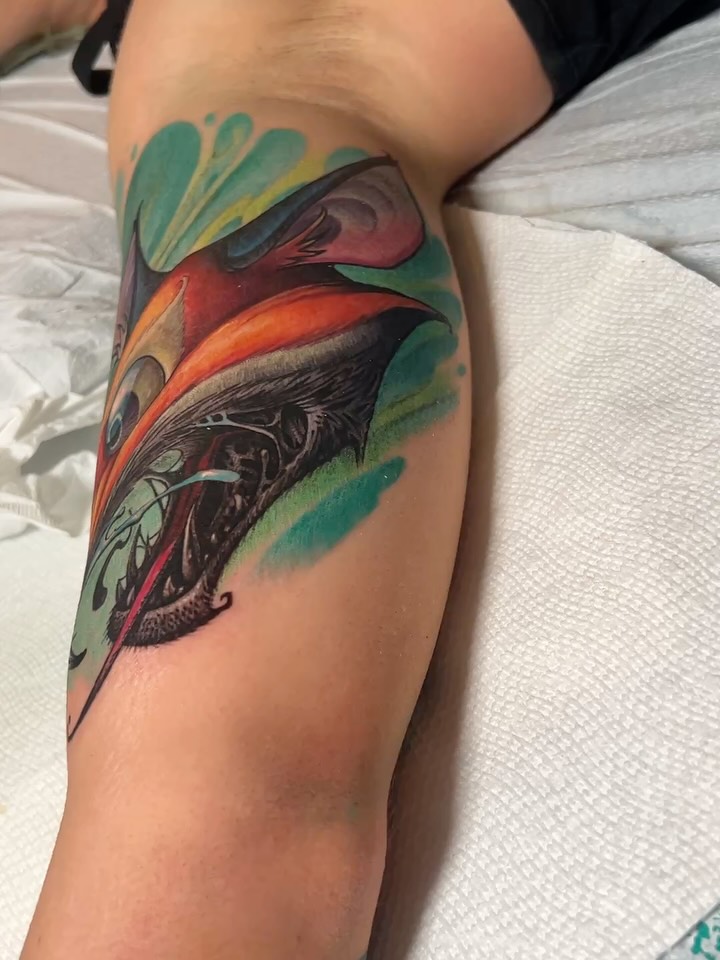 Dragon, 돌고래