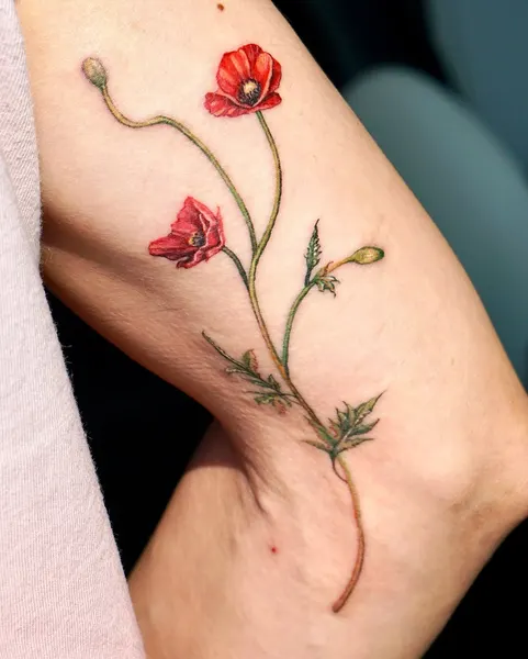 Flower, Rose, 양귀비