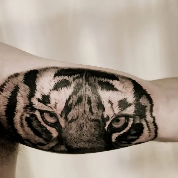 Tiger, 치타, 일본 호랑이, 중국 호랑이, 한국 호랑이