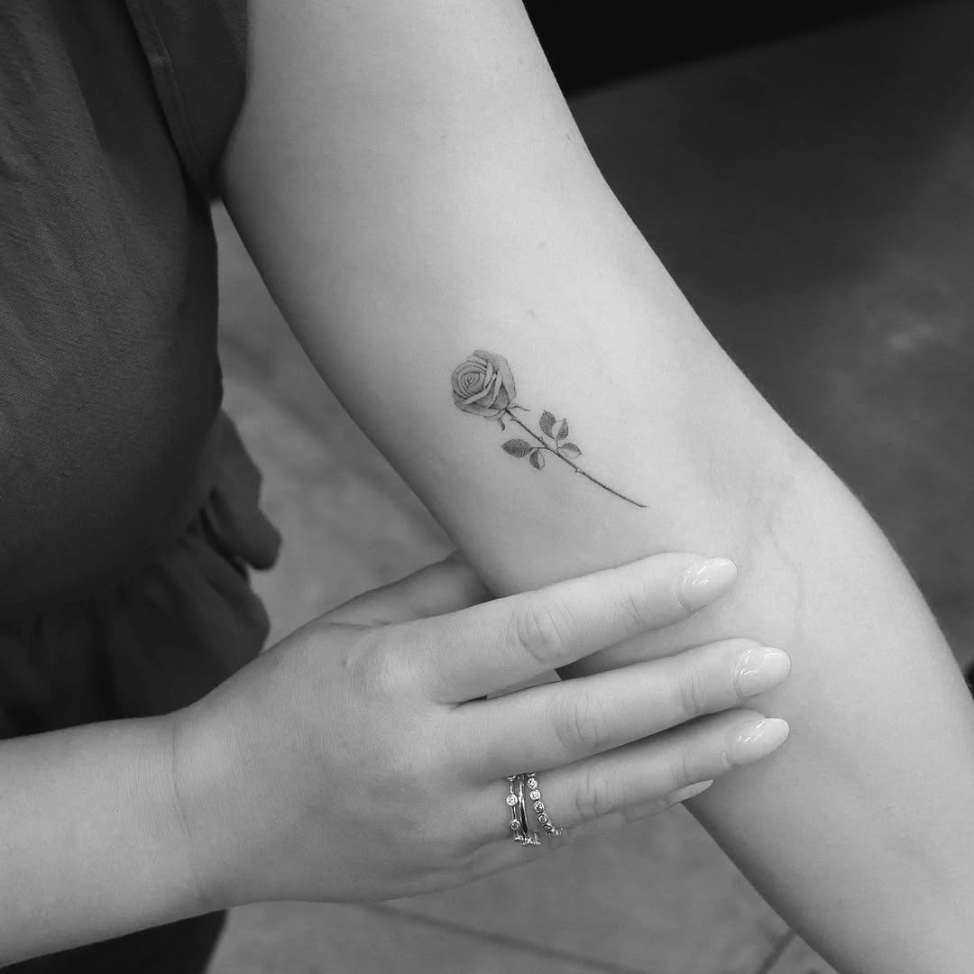 Flower, Rose