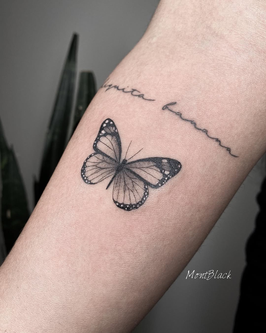 Animal, Nature
