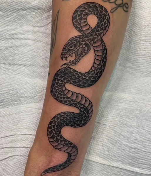 Dragon, Snake