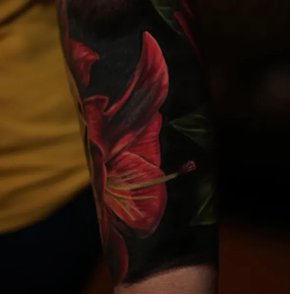 Flower, Rose
