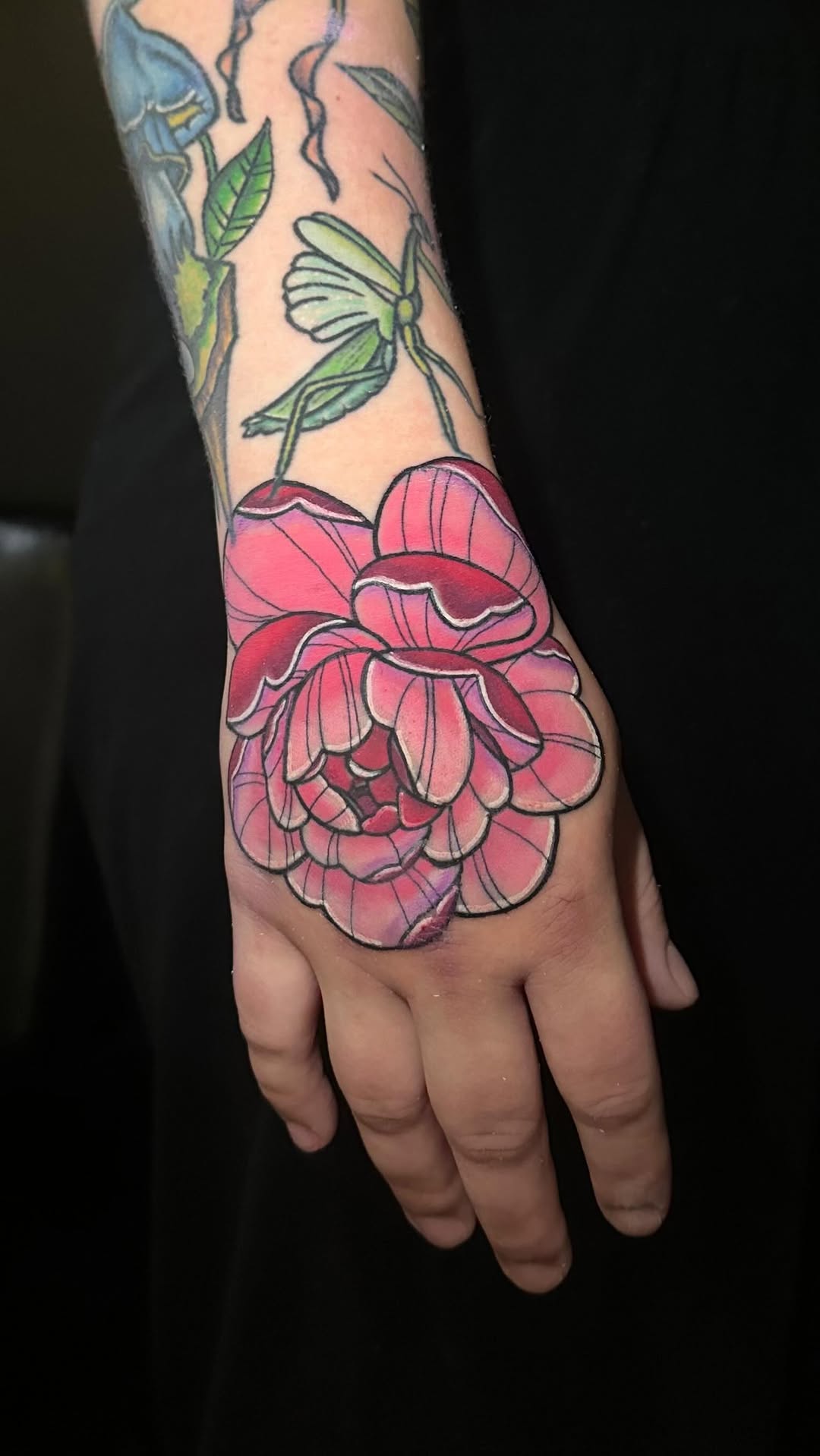 Flower, Rose