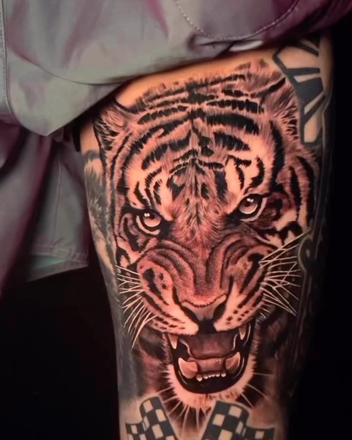Tiger, 재규어, 일본 호랑이, 중국 호랑이, 한국 호랑이, 치타, 표범, 사자자리