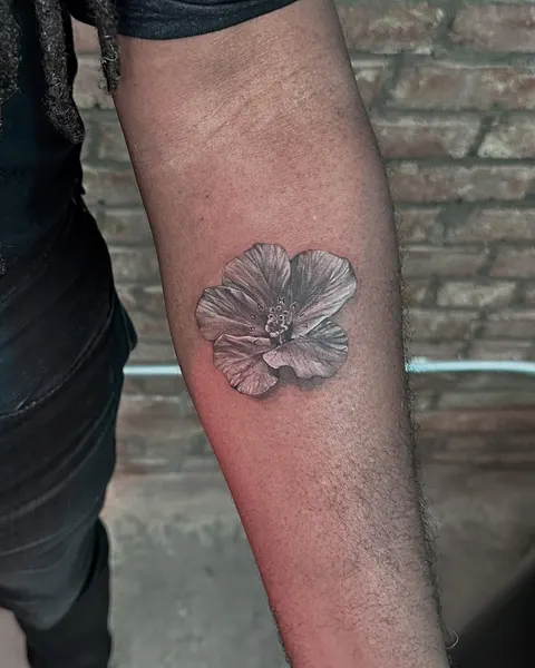 목련, Flower