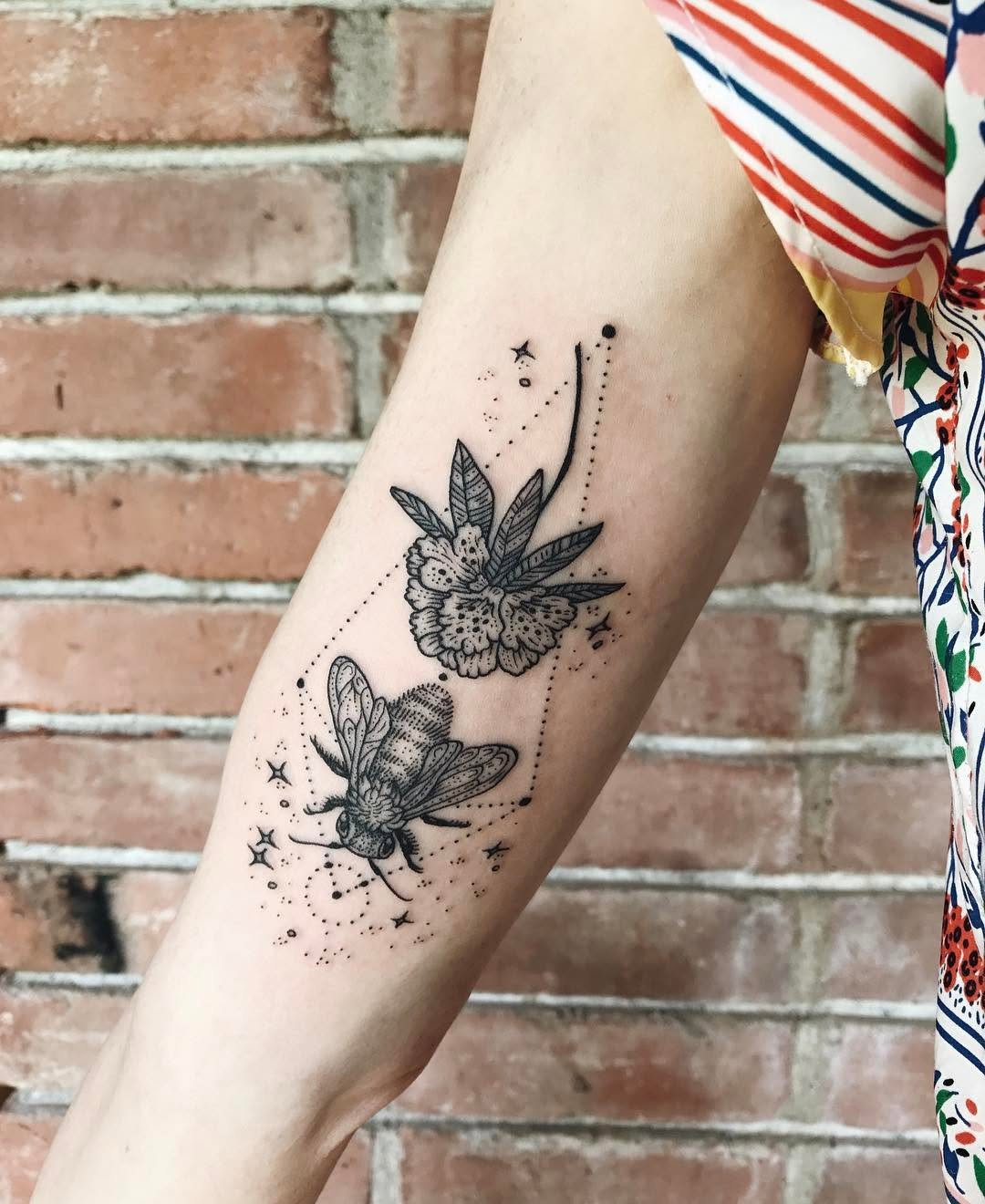 Animal, Flower, Rose, Nature