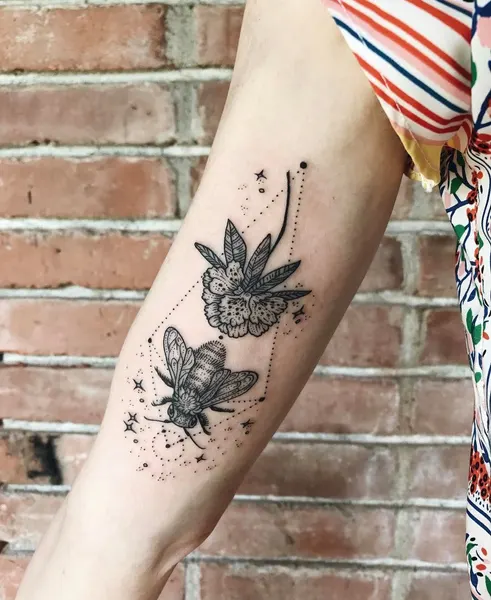 Animal, Flower, Rose, Nature