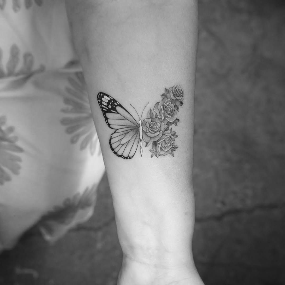 Animal, Nature, 나비