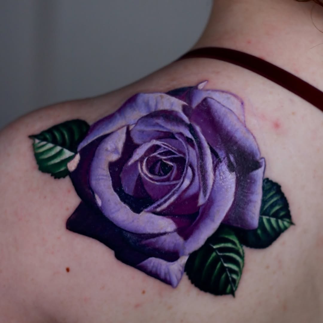 Flower, Rose, Nature