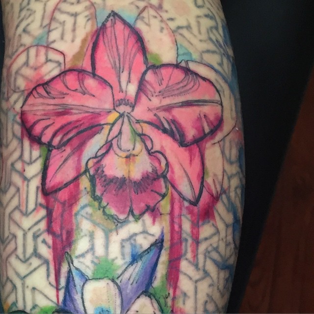 Flower, 난초