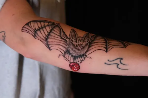 박쥐, Dragon