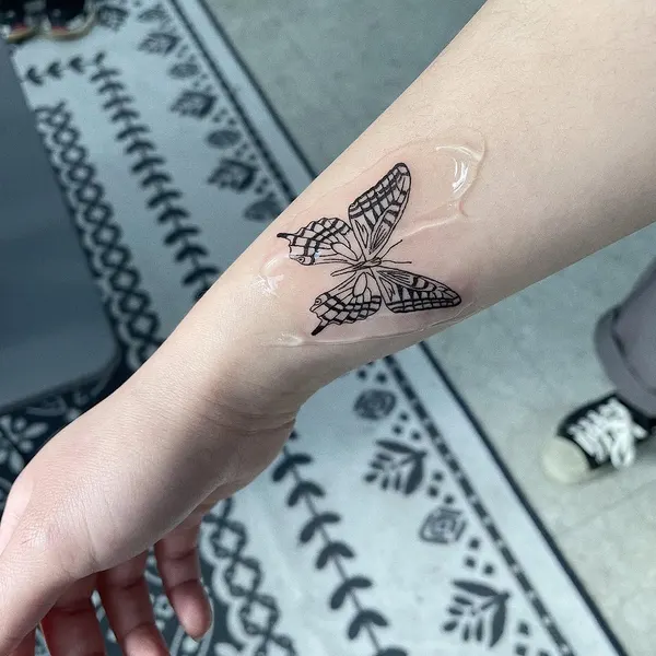 Animal, Nature, 나방, 잠자리
