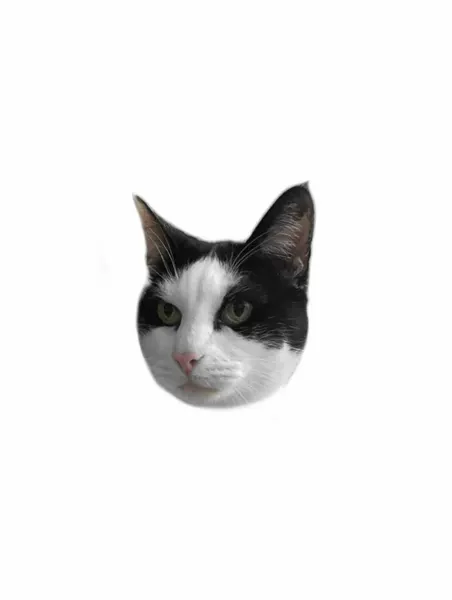 고양이, 함사, 여우 가면