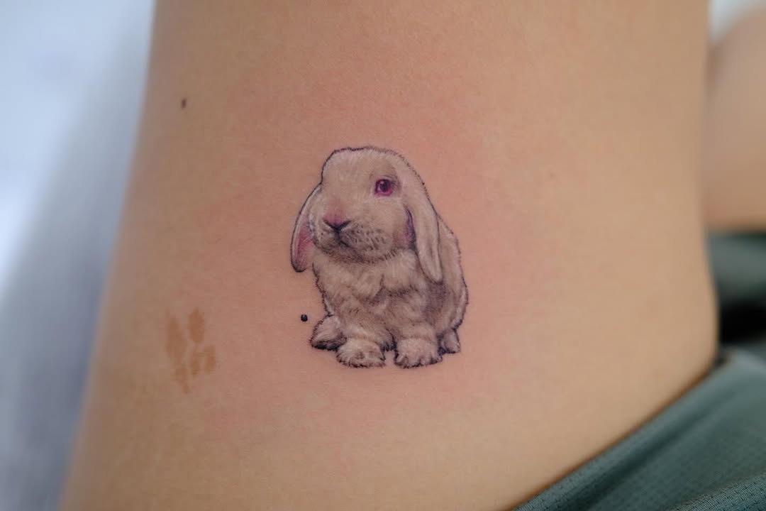 Animal, 토끼
