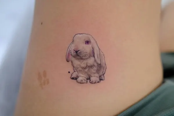 Animal, 토끼