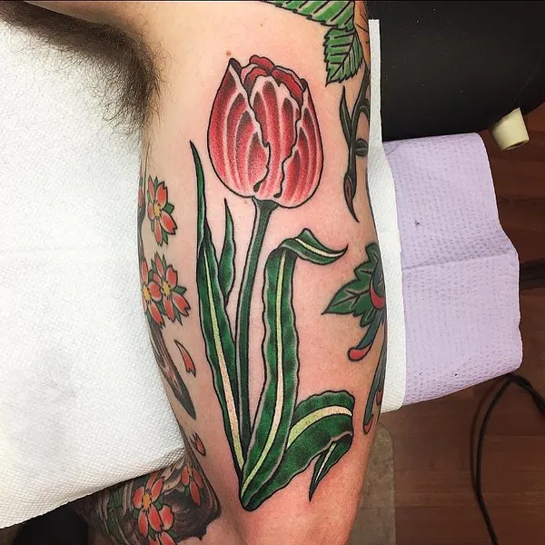 Flower, 튤립