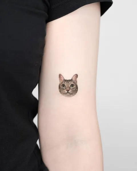 고양이, 마네키네코, 여우 가면