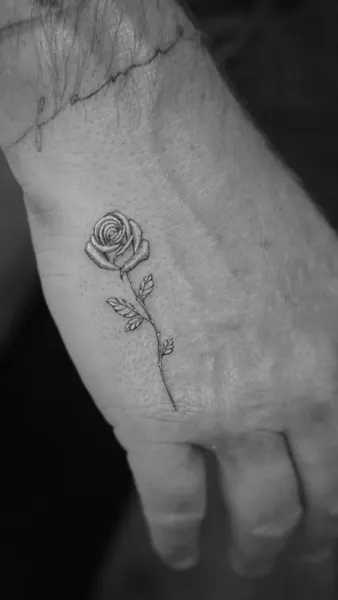 Flower, Rose