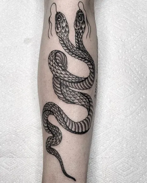 Dragon, Snake