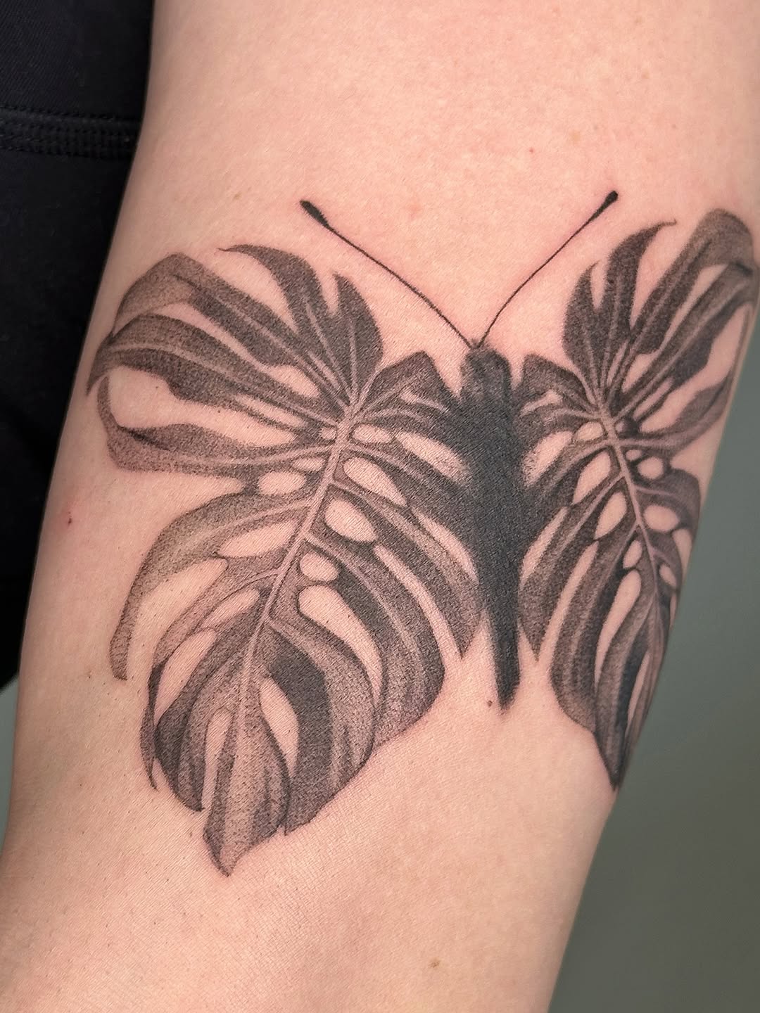 Animal, Nature, Flower