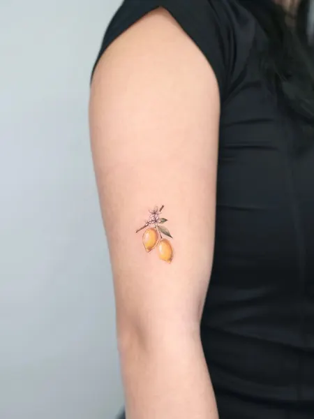 Flower, 과일, 석류, 덩굴, 레몬, 매화, 체리, 포도, 무당벌레, 올리브 가지, 허브, 초소형 타투, 작은 타투