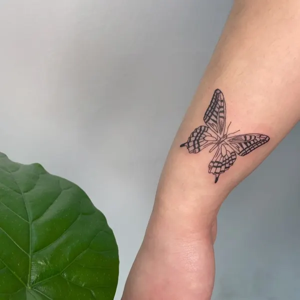 Animal, Nature, 나방, 잠자리