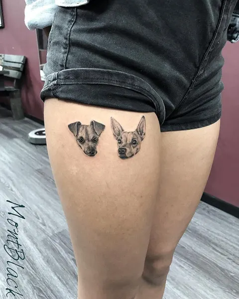 Animal