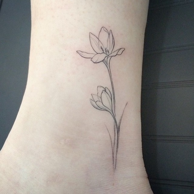 Flower, 백합, 난초, 모란, 튤립, 수선화