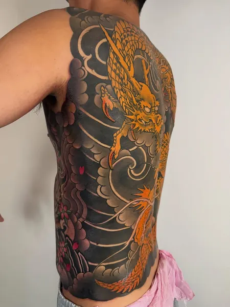 Dragon, 해부학