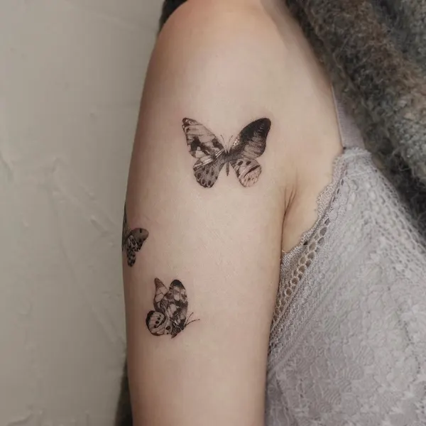 Animal, Nature