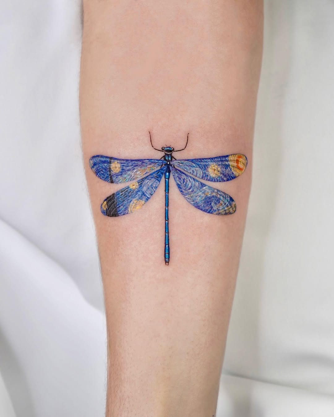 Animal, Nature, 잠자리, 매미