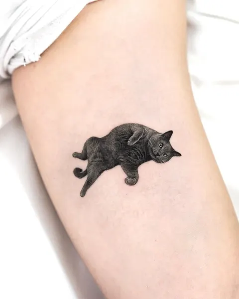 고양이