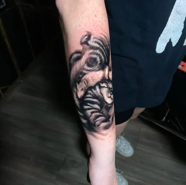 Animal, Tiger