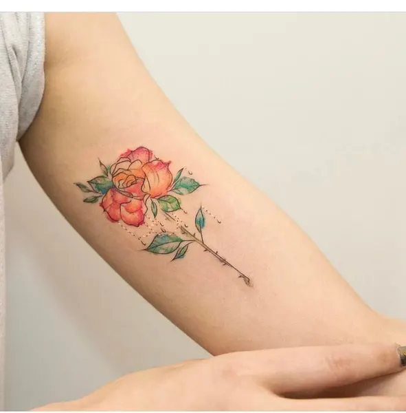 Flower, Rose