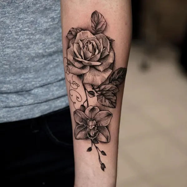 Rose, Flower