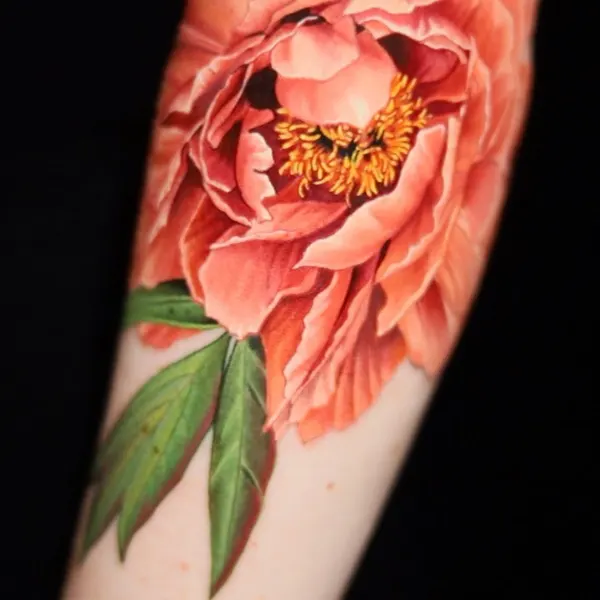 Flower, Rose