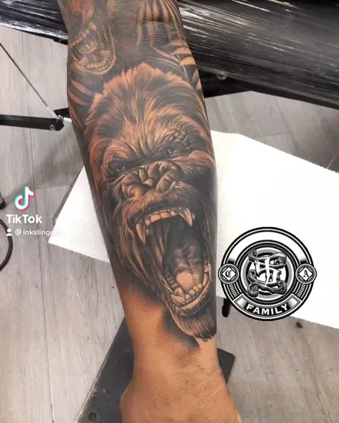 Tiger, Animal