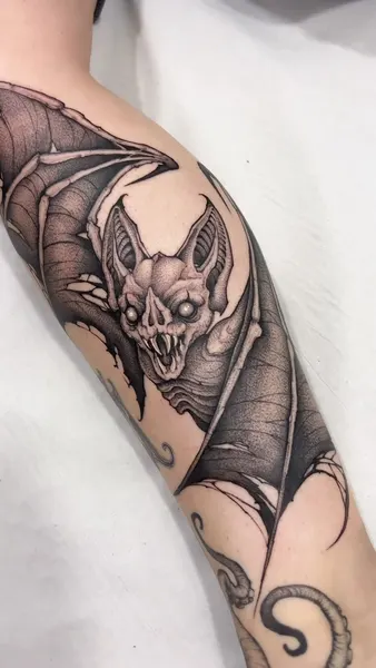 Dragon, 박쥐