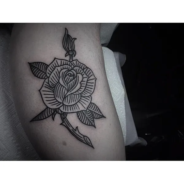 Flower, Rose