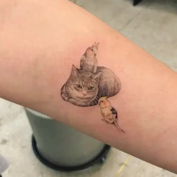고양이