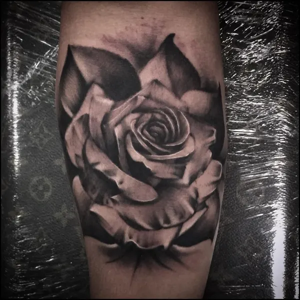 Flower, Rose