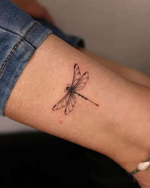 Animal, Nature