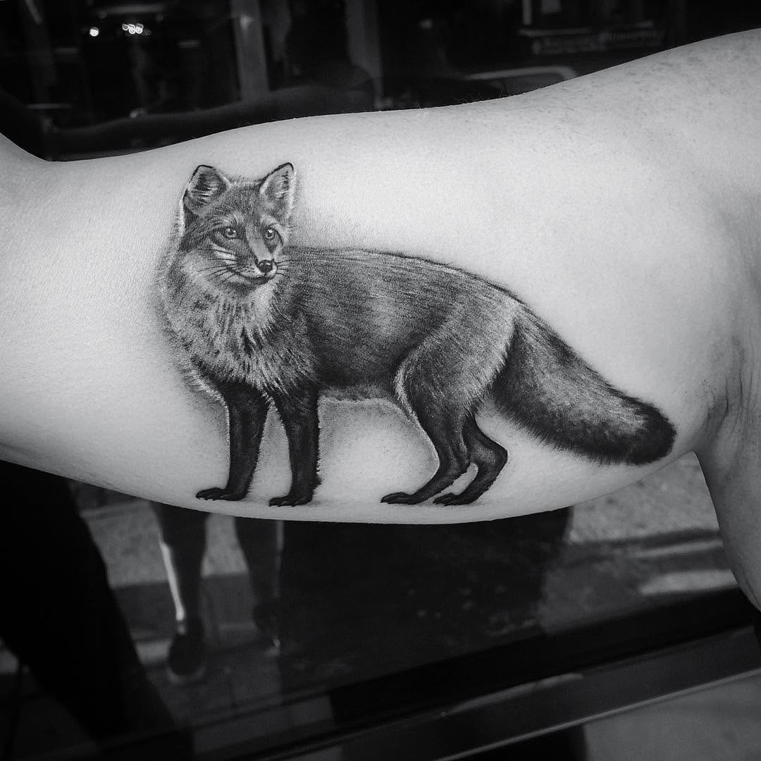 Animal, 여우, 너구리, 여우 가면