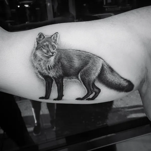 Animal, 여우, 너구리, 여우 가면