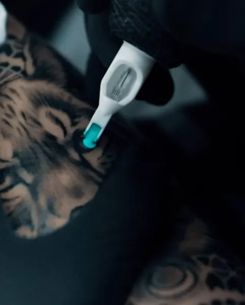 Tiger, 치타, 표범