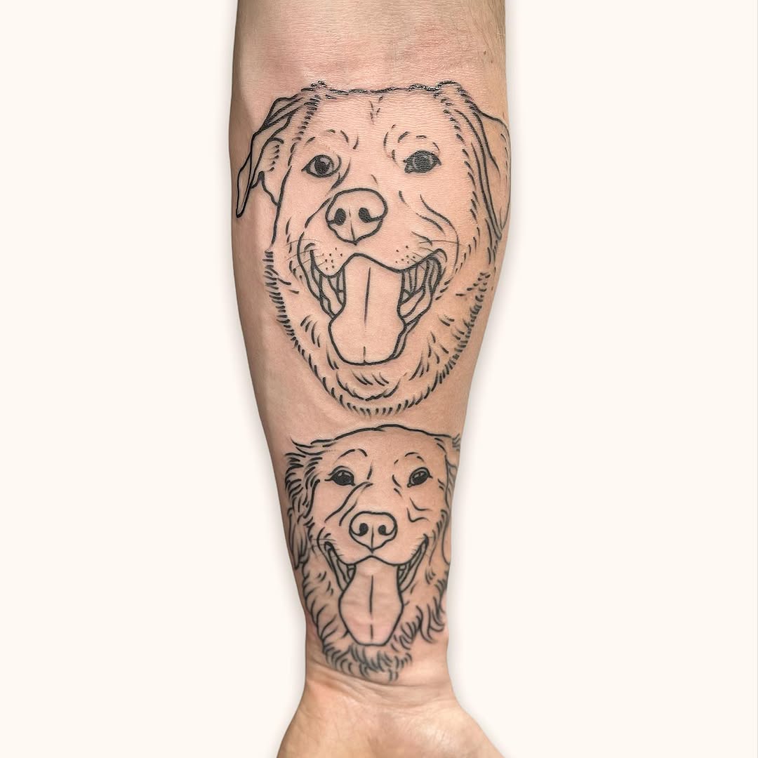 Animal