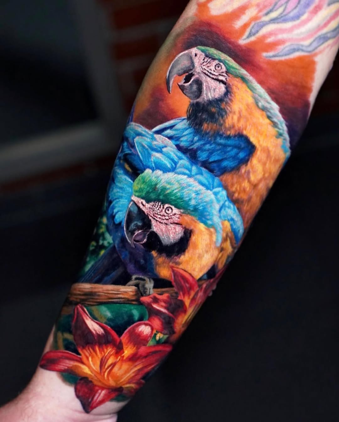 Animal, Nature